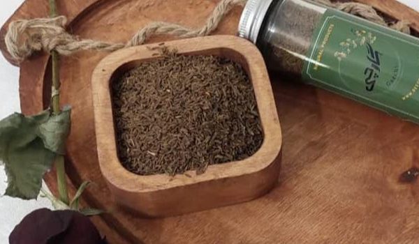 beeorganic.ir
