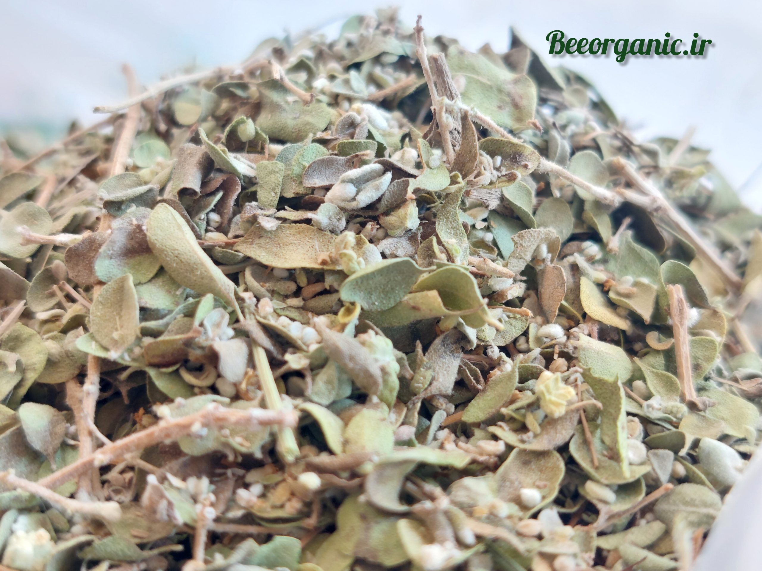 آویشن (بررسی 2 نوع آویشن کوهی و باغی): خواص علمی، کاربردهای غذایی و دارویی 3 آویشن کرمانی اصل فقط سایت beeorganic