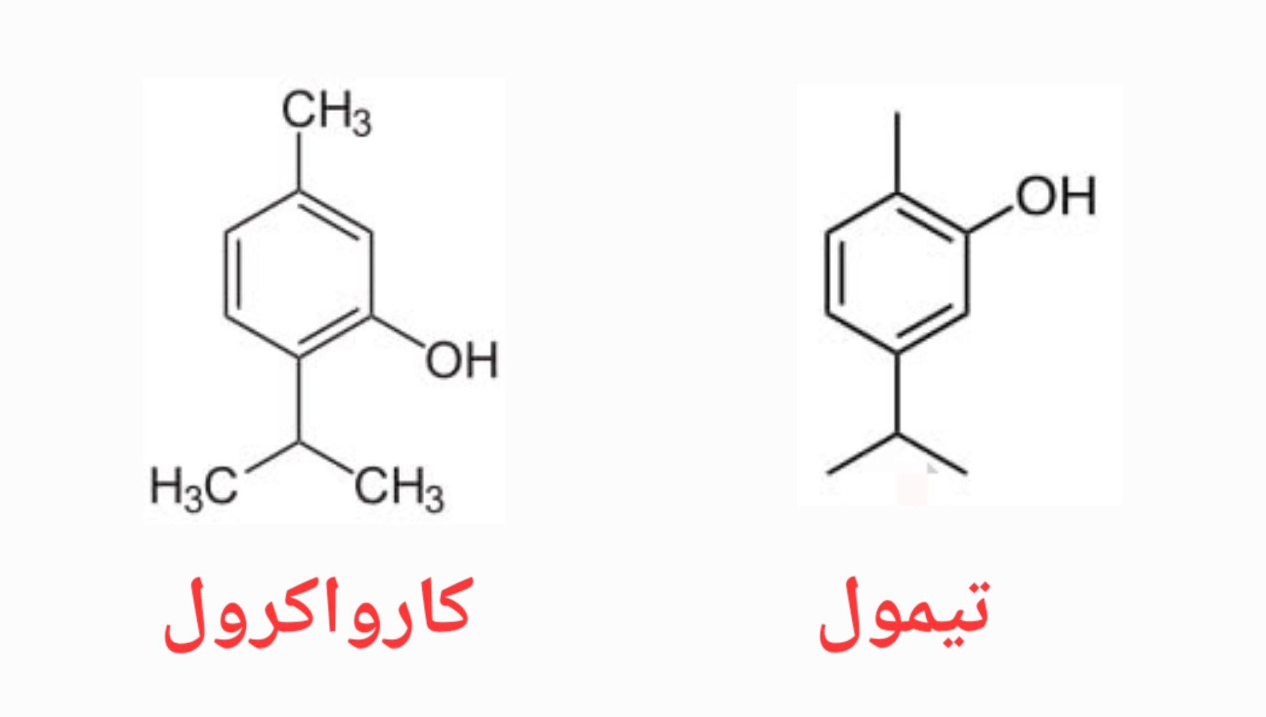 آویشن (بررسی 2 نوع آویشن کوهی و باغی): خواص علمی، کاربردهای غذایی و دارویی 2 ساختار شیمیایی کارواکرول و تیمول